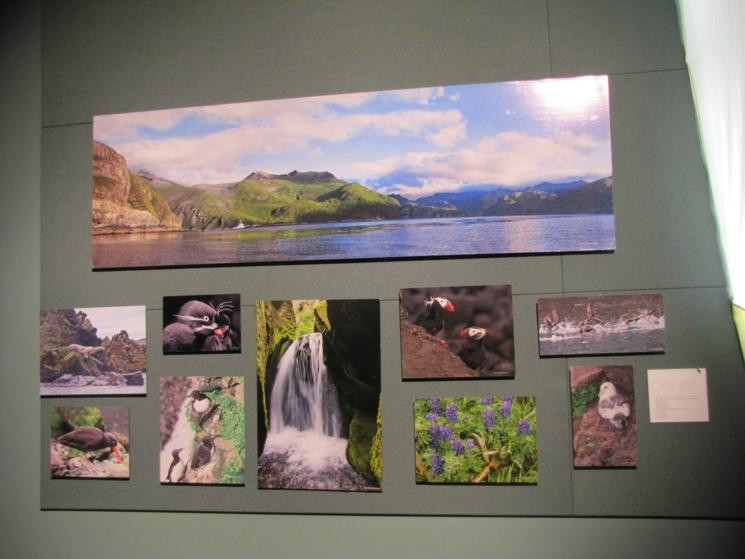 阿拉斯加岛与海洋游客中心-荷马必去景点