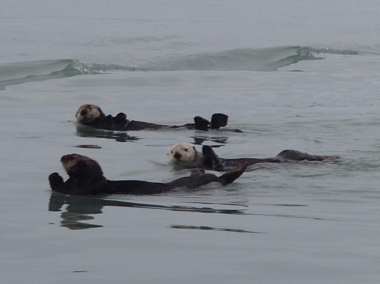 阿纳德尔湾冒险之旅-瓦尔迪兹必去景点