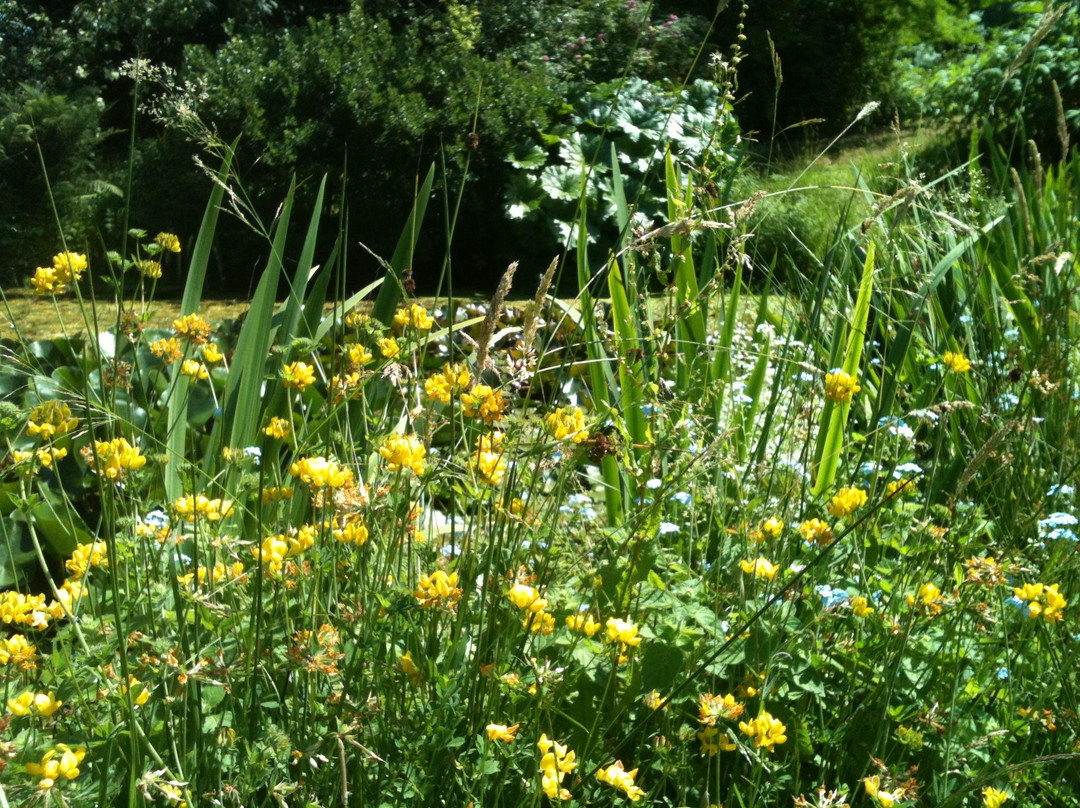 Burrow Farm Gardens-Dalwood必去景点