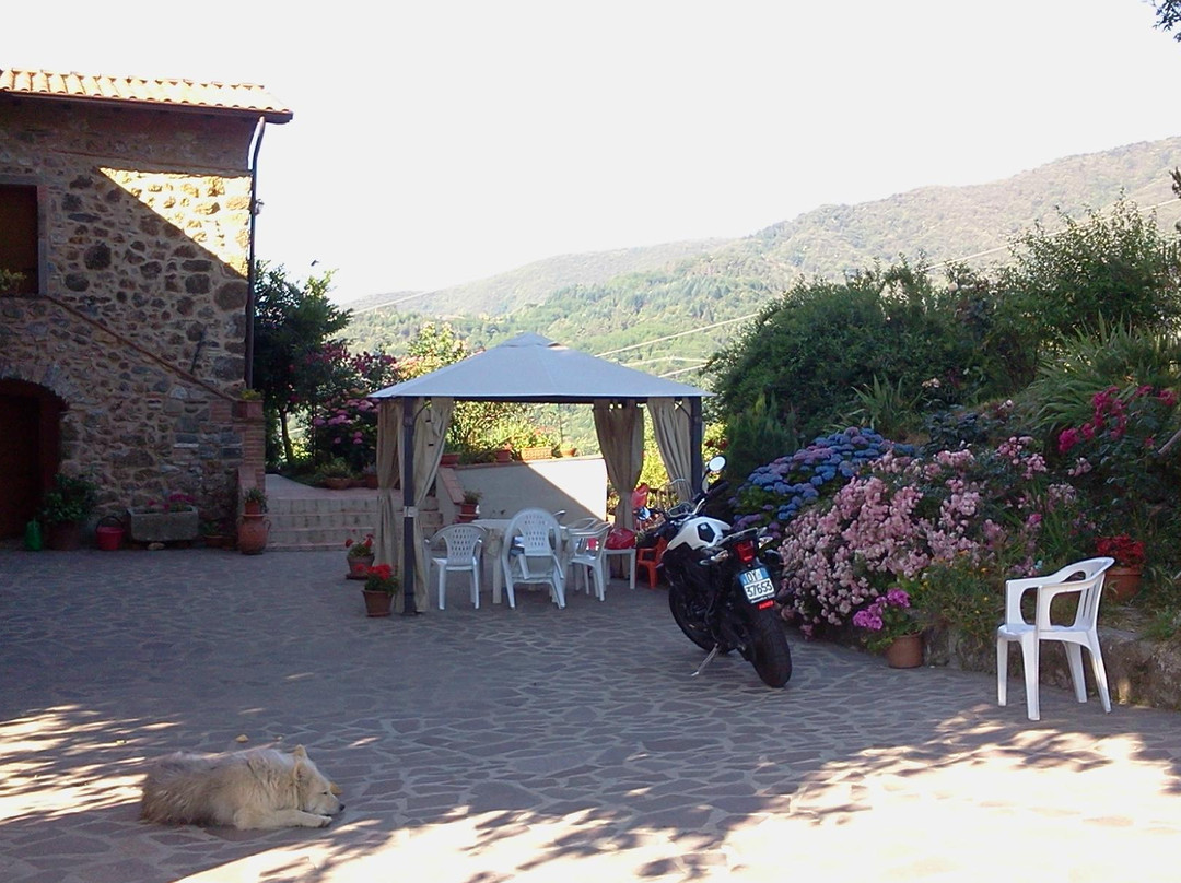 Agriturismo Il Montale