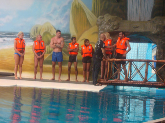 迪拜海豚馆-迪拜必去景点