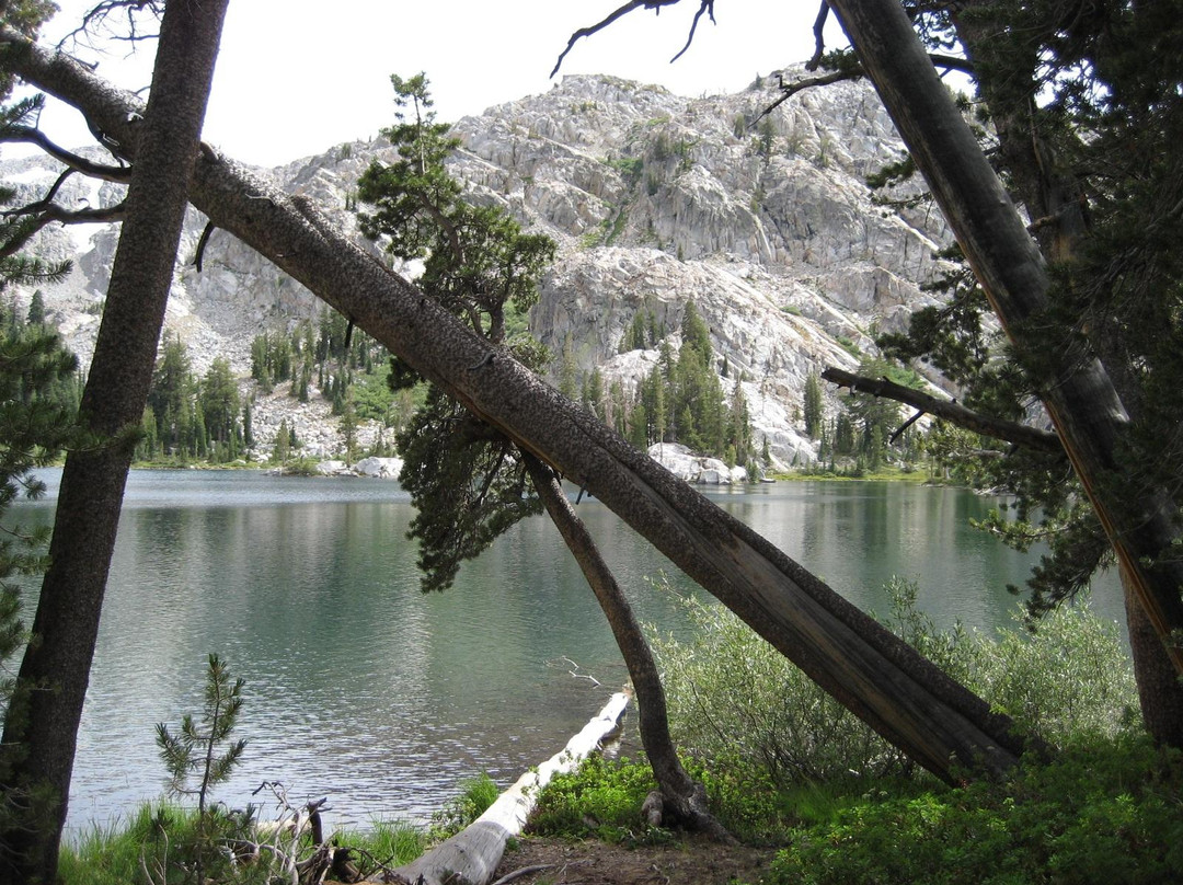 Leavitt Meadows Pack Station景点图片