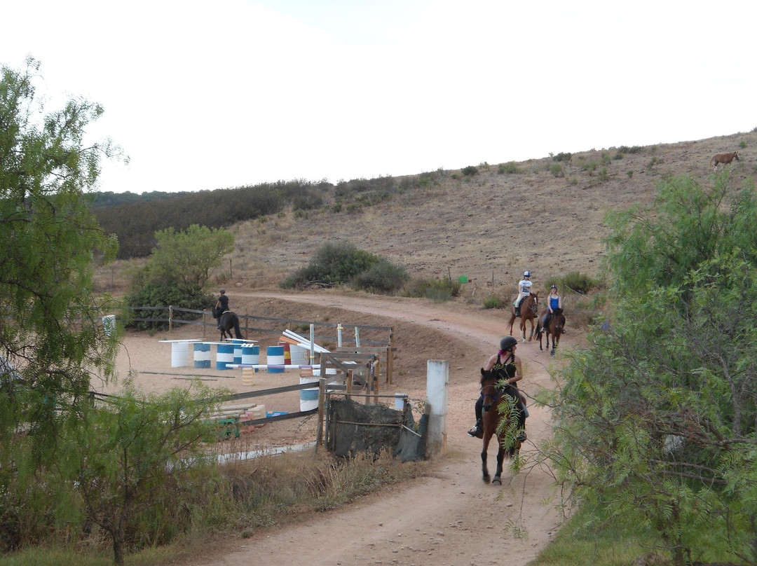 QPA Horse Riding Centre景点图片
