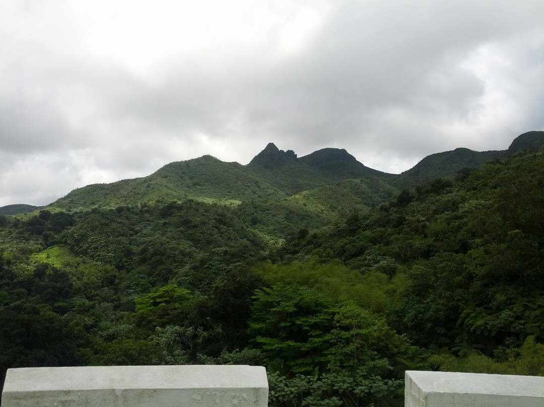 El Toro Peak-云盖国家森林公园必去景点