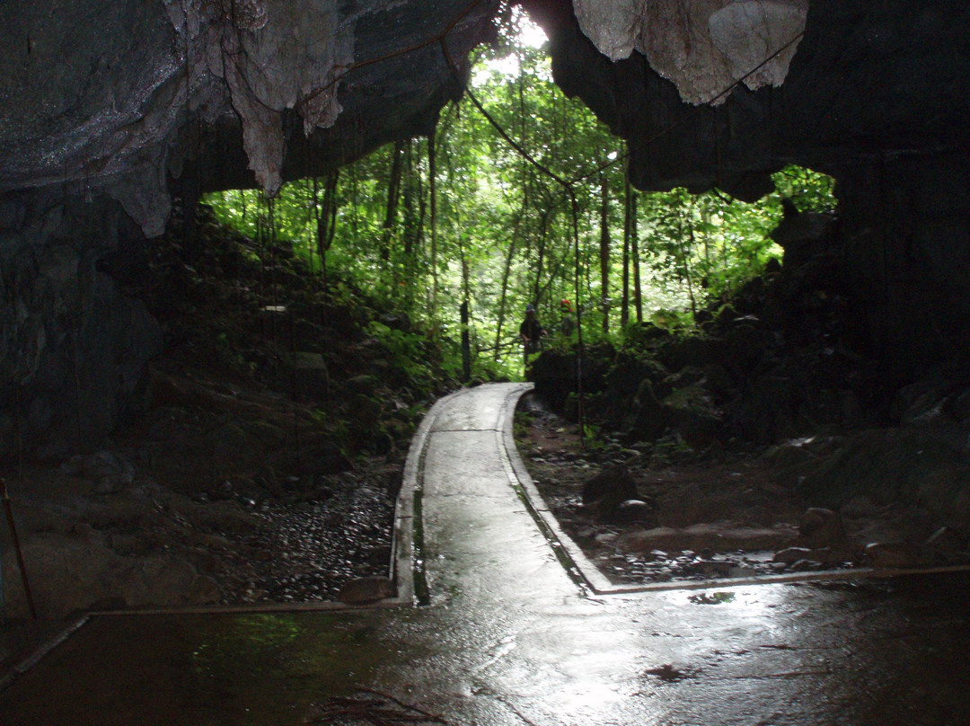 Mulu Caves-美里必去景点
