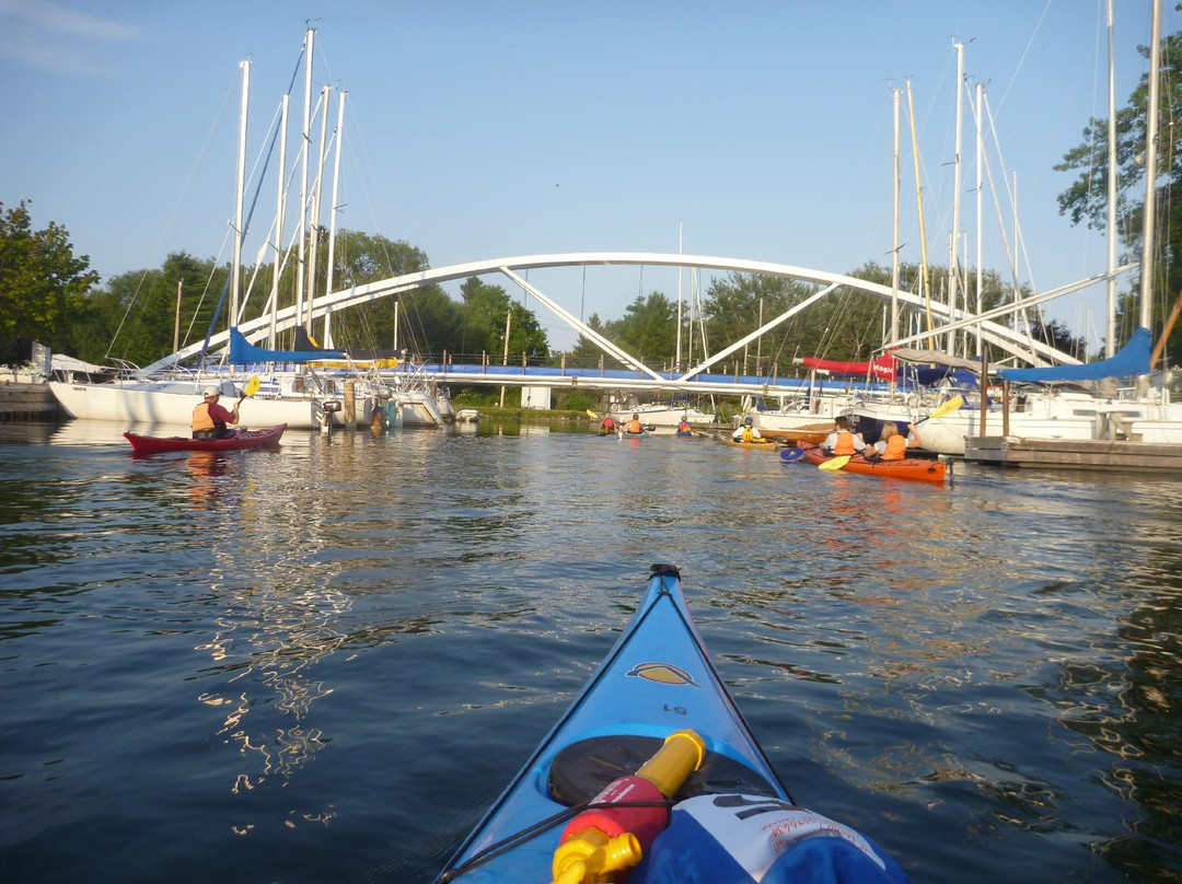 Harbourfront Canoe & Kayak Centre景点图片