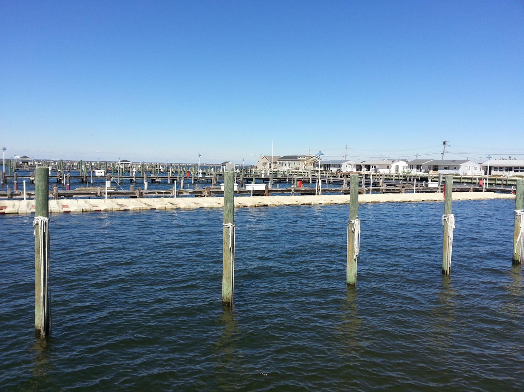 Ocean Beach Marina Aqua Rentz景点图片