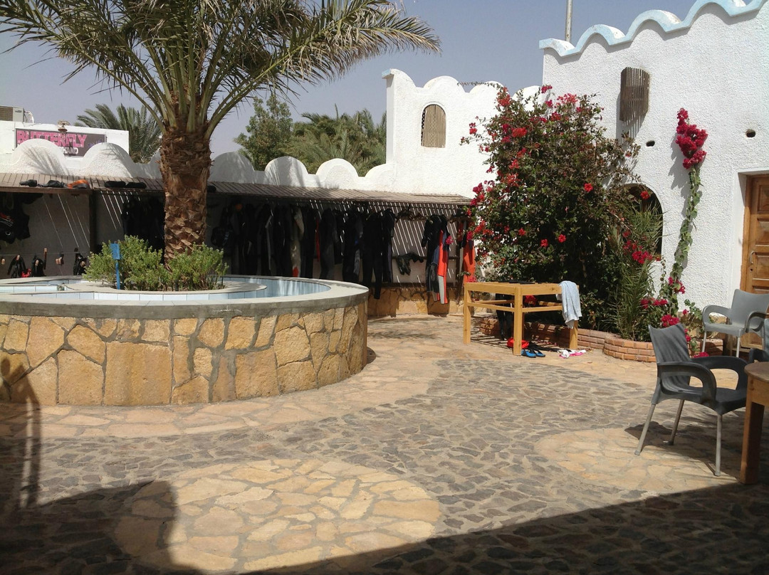 Dahab Divers Lodge-达哈卜必去景点