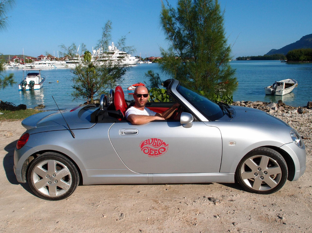 Buggy & Jeep Rental/Sales/Bungalows景点图片