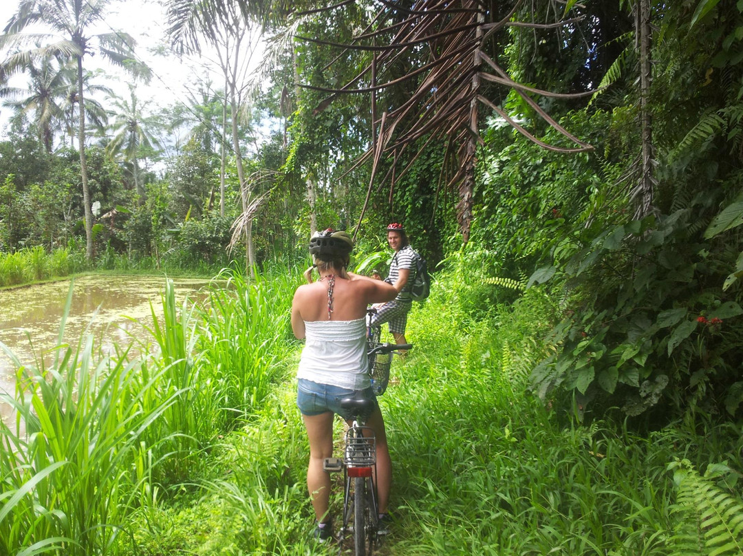 We Are Family Bali Cycling Tours-沙努尔必去景点