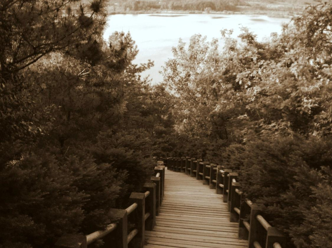 Upo Wetland-昌宁郡必去景点