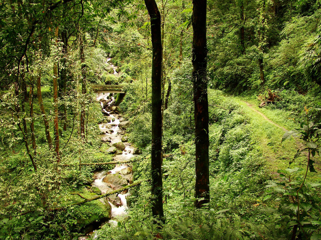 Neora Valley National Park景点图片