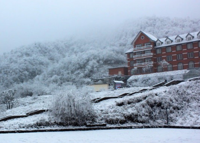 西岭雪山映雪酒店-客卧