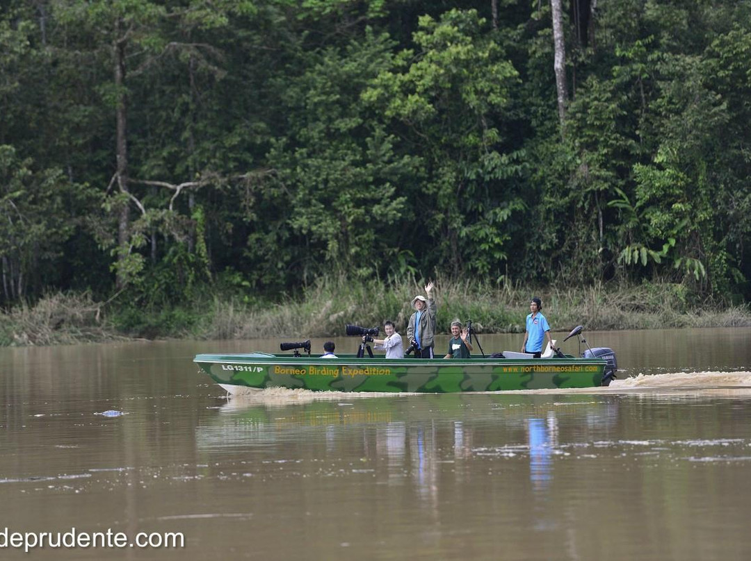 North Borneo Safari Day Tours-山打根必去景点