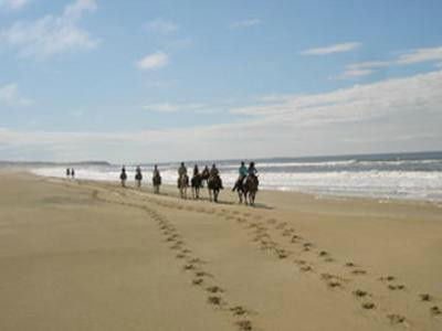 Endalweni Private Game Reserve主图