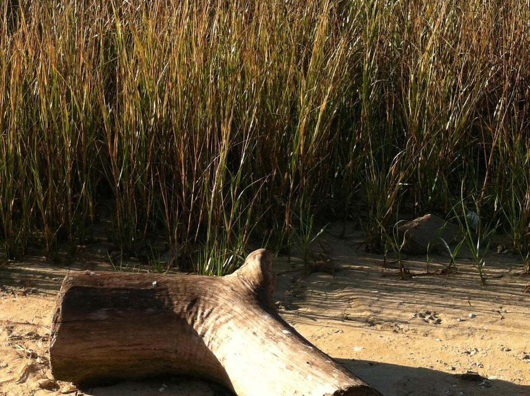Baytown Nature Center-Baytown必去景点