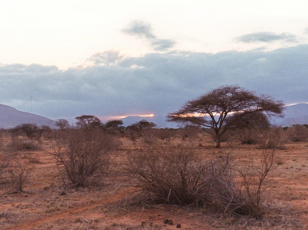 In Kenya con Alessandro - Day Tours-瓦塔木必去景点