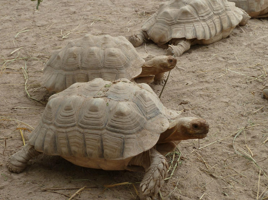 Gonfaron旅游攻略图片