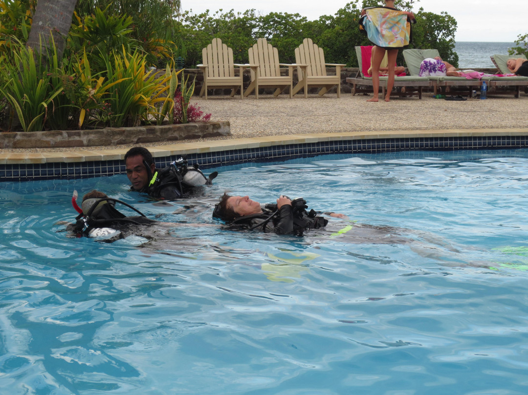 Diving The Bligh Water & Vatu-I-Ra with Ra Divers-拉奇拉奇必去景点