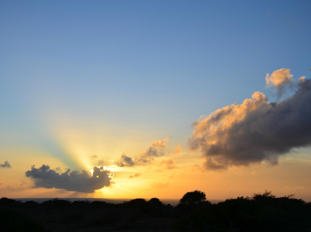 Aruba Sunrise Tours-萨瓦内塔必去景点