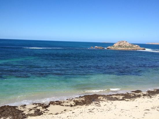 南澳大利亚旅游攻略图片