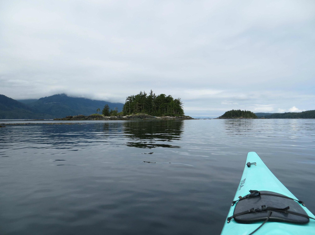 Discovery Expeditions-Telegraph Cove必去景点