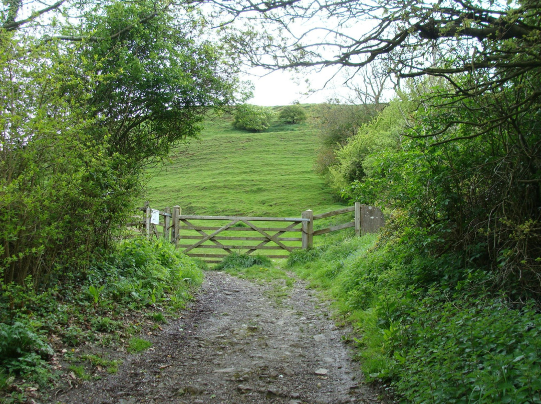 Spirals Bed & Breakfast主图