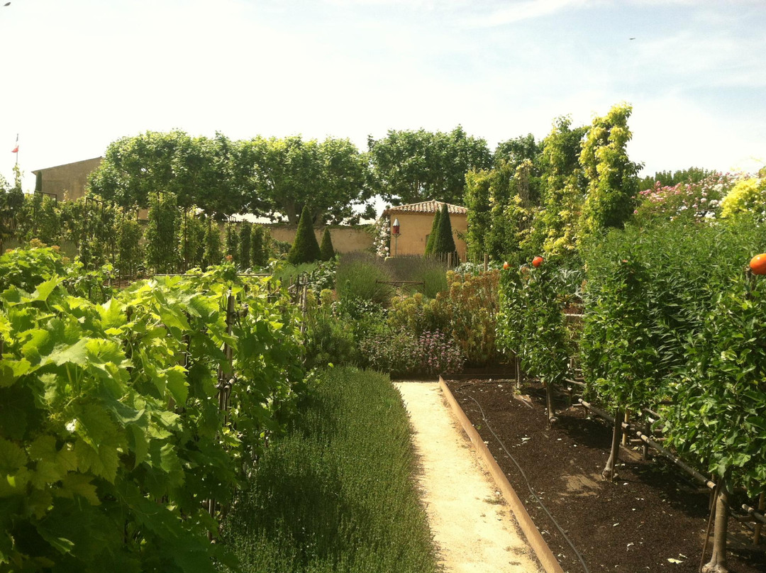 Wine in Provence景点图片