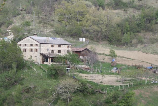 Agriturismo Il Poderone主图