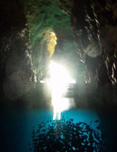 Piranha Divers Okinawa-恩纳村必去景点