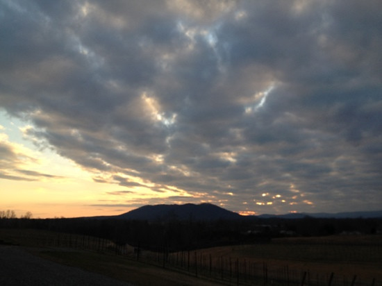 Round Peak Vineyard-Mount Airy必去景点