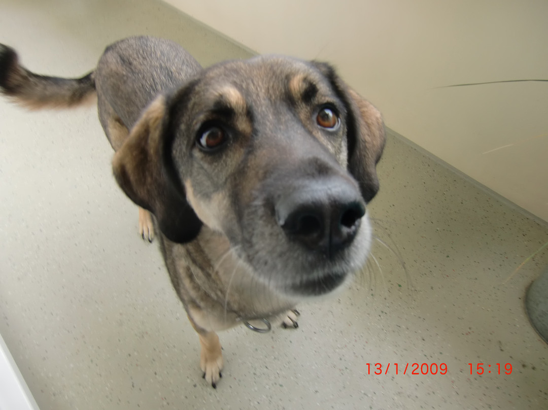 Harzhotel zur Schmiede主图