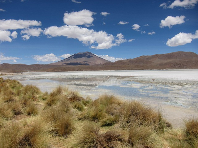 Tonito Tours景点图片