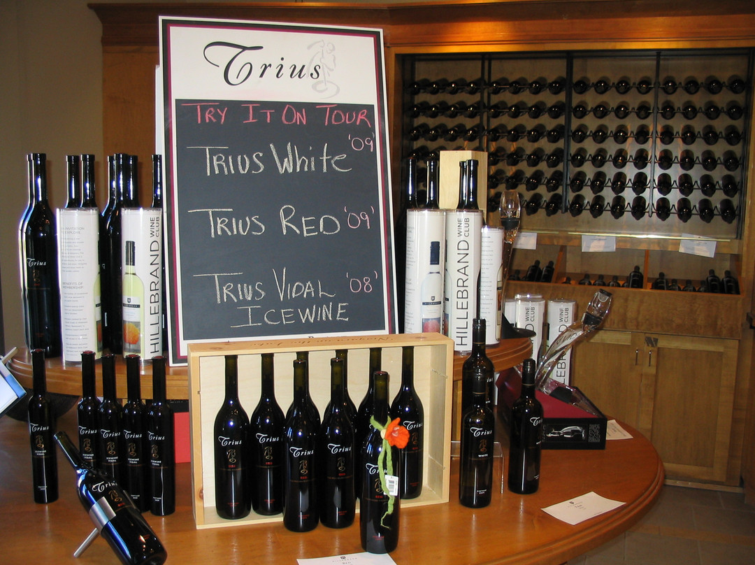 Trius Winery-滨湖尼亚加拉必去景点