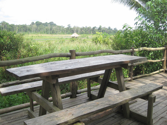 Sawah Ladang Bintan-民丹岛必去景点