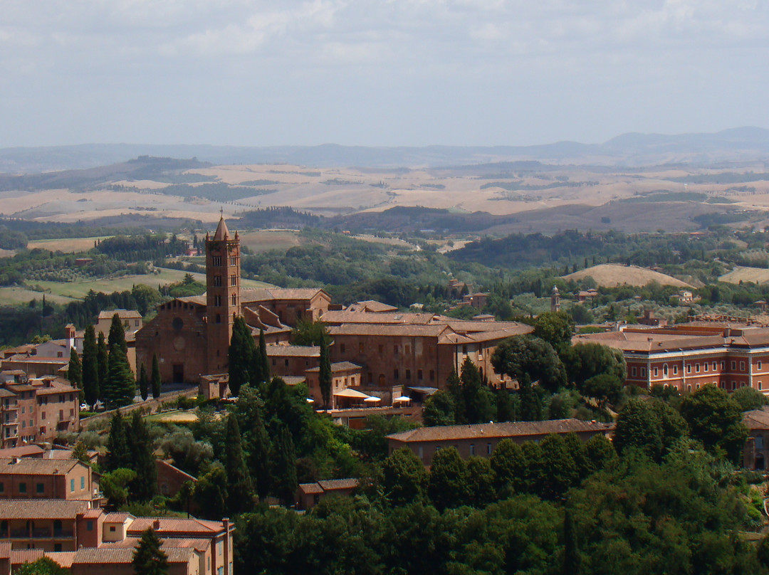 Museo dell'Opera Metropolitana-锡耶纳必去景点