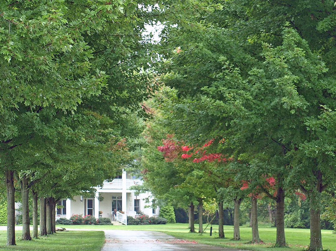 Andersons Riviera Inn主图