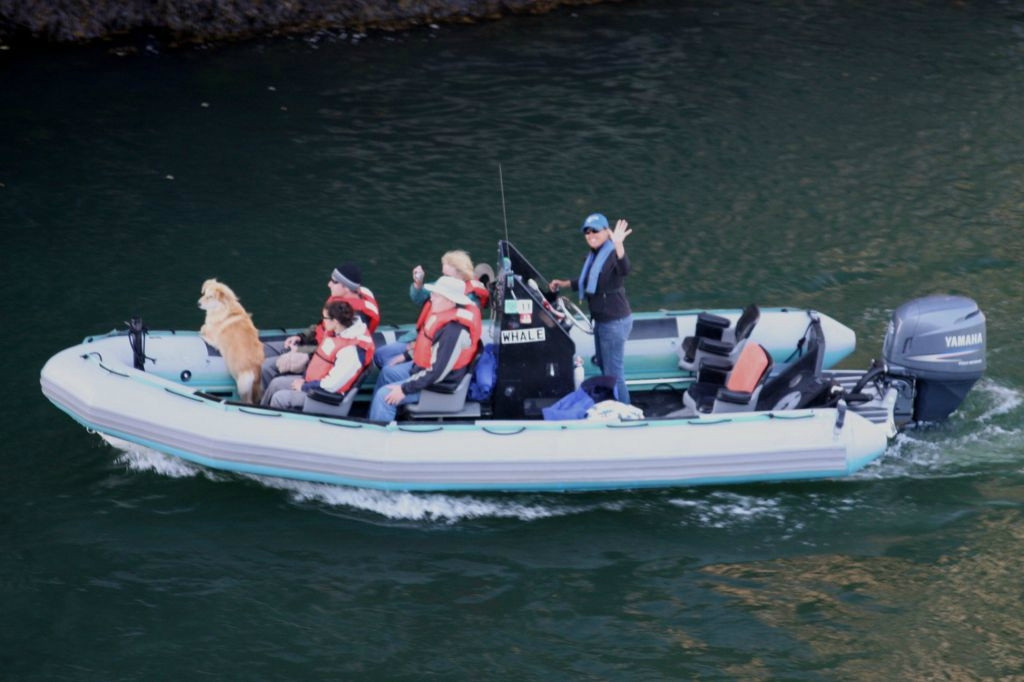 Whale Research EcoExcursions-Depoe Bay必去景点