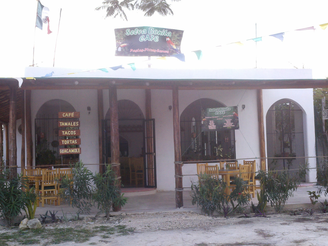 Benito Juarez Municipality餐馆和美食-Selva Bonita Cafe