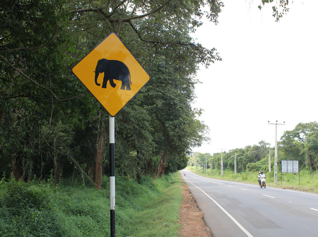 Puttalam Thambapanni Resort