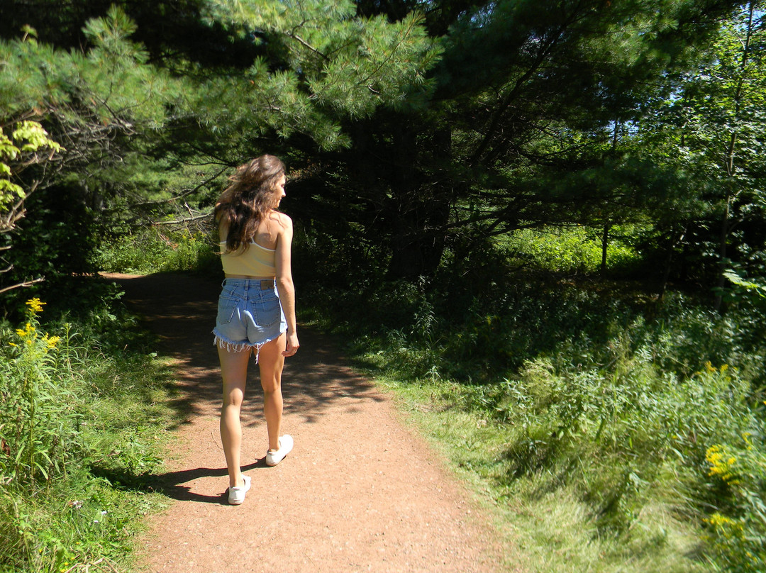 Pauley Charter and Adventure Tours-Vernon Bridge必去景点