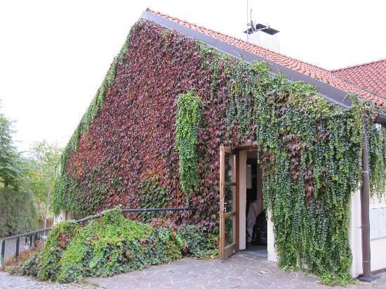 卡夫卡博物馆-布拉格必去景点