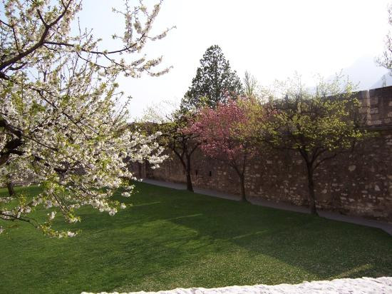 Castello del Buonconsiglio Monumenti e Collezioni Provinciali景点图片