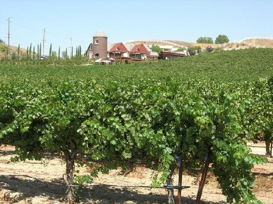 Leoness Cellars-特曼库拉必去景点