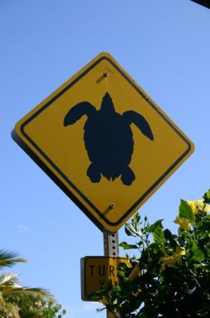 茂宜海洋中心-怀露库必去景点