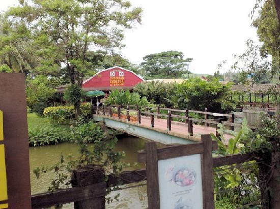 Farm Chokchai景点图片
