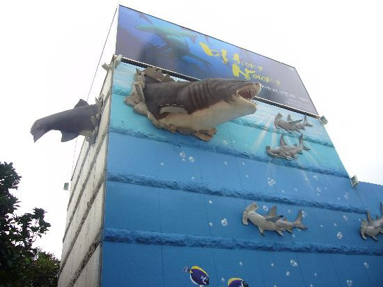 釜山水族馆-釜山必去景点