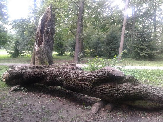 Żywiec Park景点图片