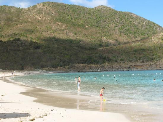 Scuba Zen-Anse Marcel必去景点