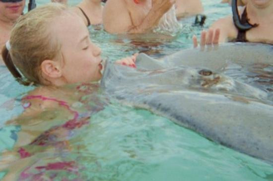 Stingray Adventures Ltd-西湾必去景点